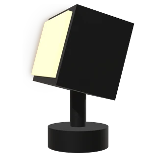 Flood Light